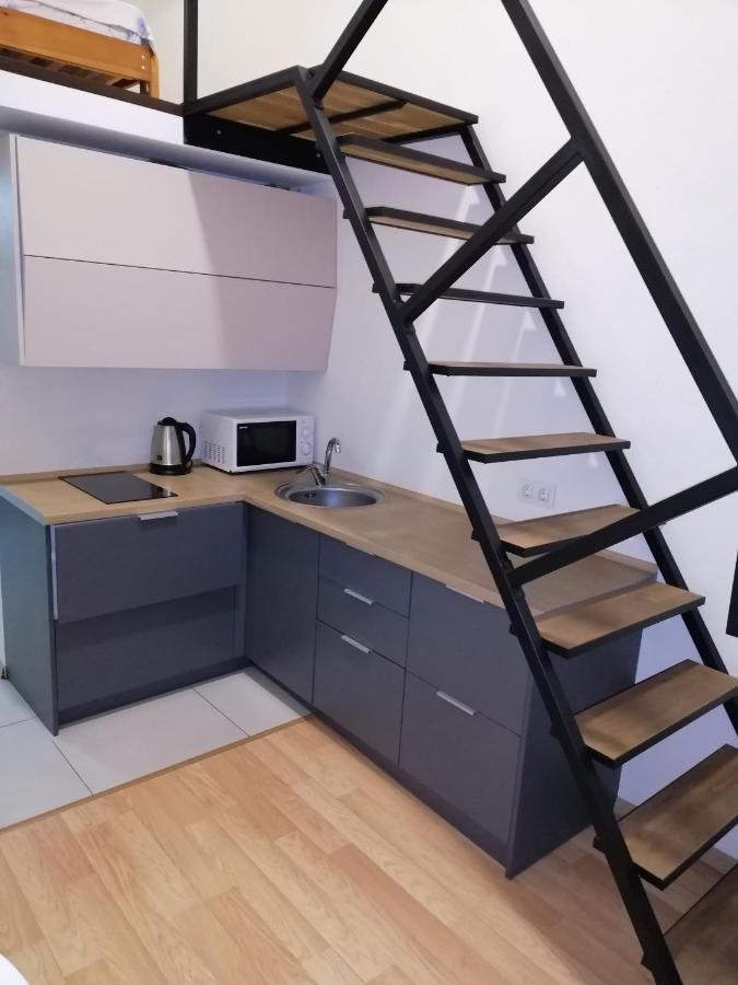 Cozy Smarthouse Leilighet Kiev Eksteriør bilde