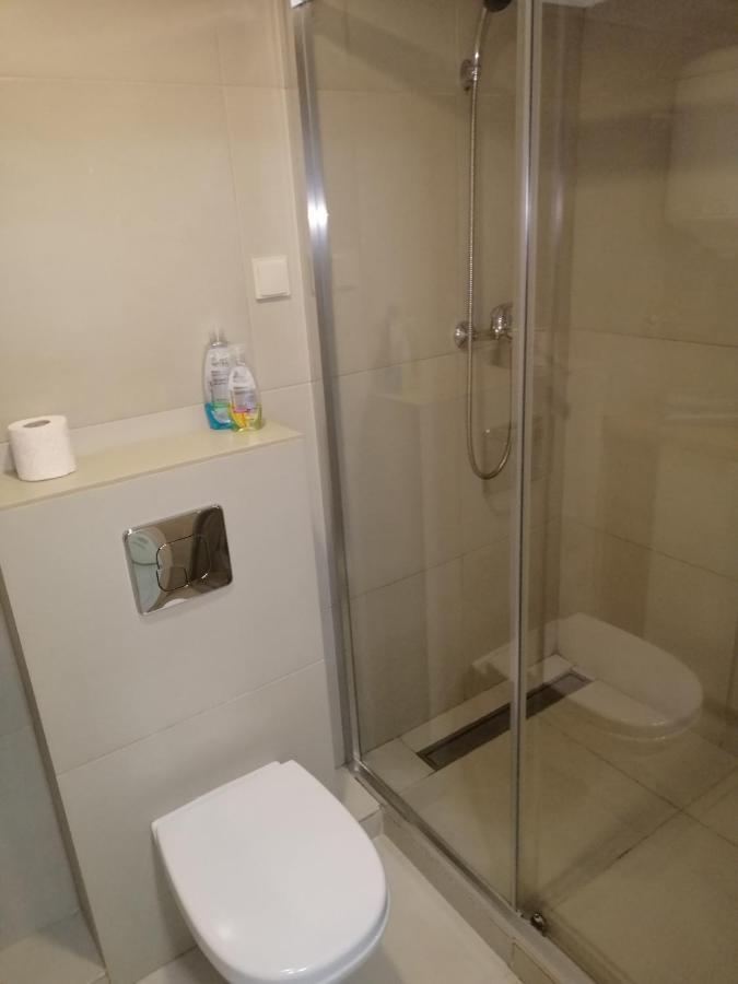 Cozy Smarthouse Leilighet Kiev Eksteriør bilde